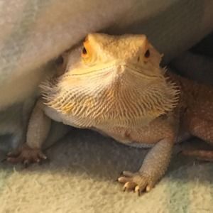 Meet your Posher, Haley